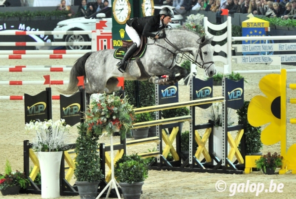 Stallions competition at Mechelen : a real succes story!